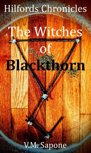 bigCover of the book Hilfords Chronicles: The Witches of Blackthorn by 