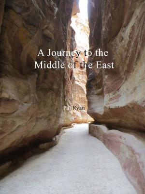 Book cover of A Journey to the Middle of the East