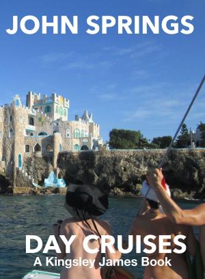 Book cover of Day Cruises: A Kingsley James Book