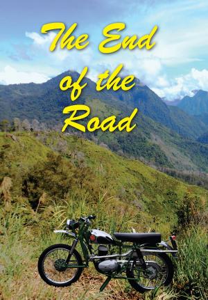 Cover of the book The End of the Road by Sam Soleyn, Nicholas Soleyn