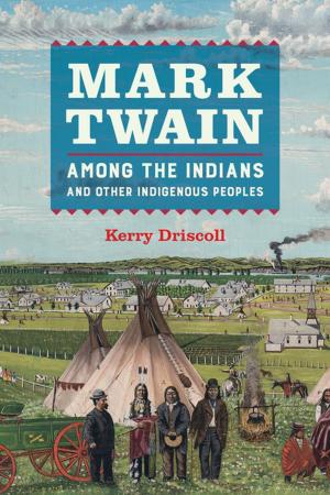 Cover of the book Mark Twain among the Indians and Other Indigenous Peoples by Daniel Morgan