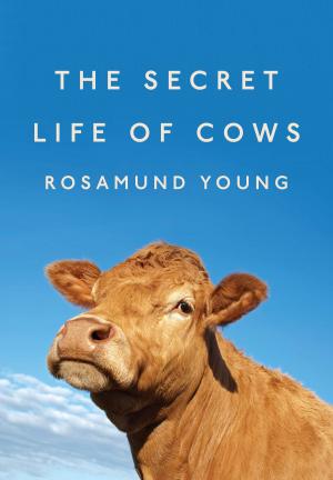Book cover of The Secret Life of Cows
