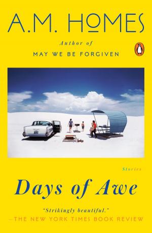 Book cover of Days of Awe