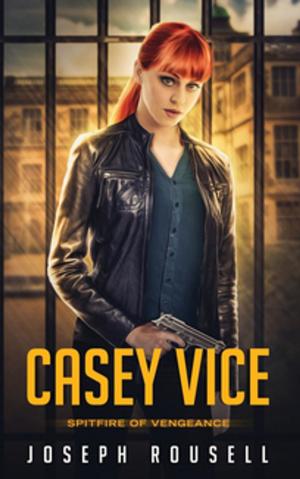 Book cover of Casey Vice