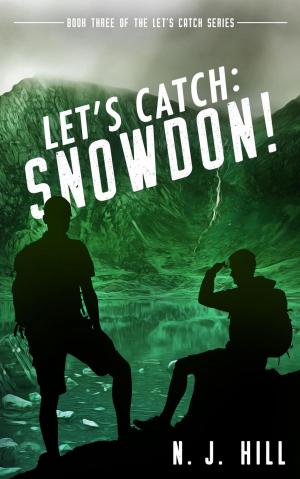 Cover of the book Let's Catch: Snowdon by Dawn Millen