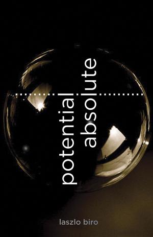 Cover of the book Potential Absolute by Tobias Roote