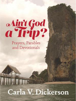 Cover of the book Ain't God a Trip? by Dr. Dorothy E. Hooks