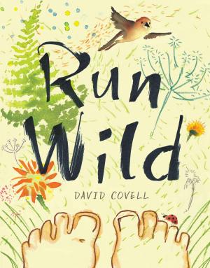 Cover of the book Run Wild by Jan Brett