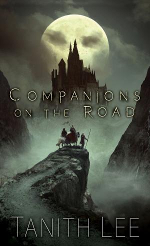 Cover of the book Companions on the Road by Sherwood Smith