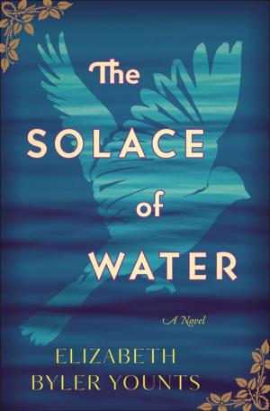 Cover of the book The Solace of Water by Liz Tolsma