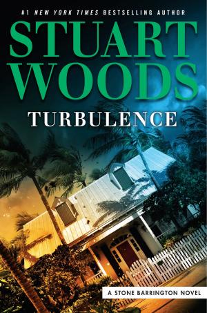 Cover of the book Turbulence by Paul Thomsen