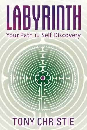 Cover of the book Labyrinth by Dr Michael Lennox