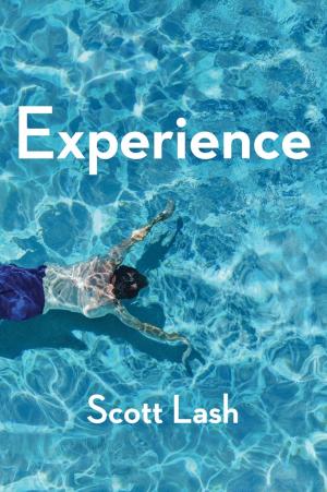 Cover of the book Experience by AGI Creative Team, Jerron Smith