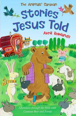 Cover of the book The Stories Jesus Told by David Wilkinson