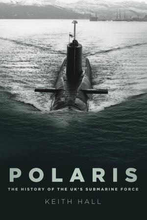 Cover of the book Polaris by G. J. Cooper