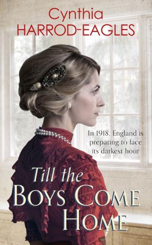 Book cover of Till the Boys Come Home