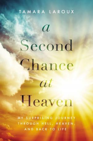 Cover of the book A Second Chance at Heaven by Paul Sperry