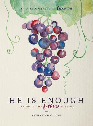 Cover of the book He is Enough by Matthew Lee Anderson