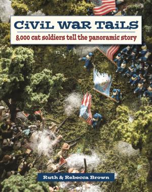 Cover of the book Civil War Tails by Tim Hollis