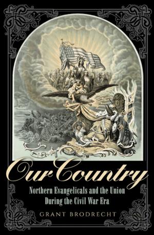 Cover of the book Our Country by Richard Kostelanetz