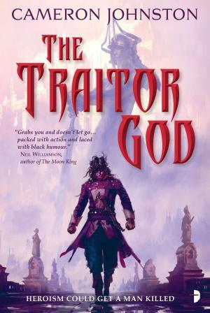 Cover of the book The Traitor God by Miriam Akhtar