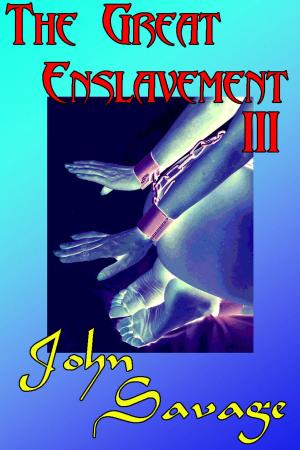 Cover of the book The Great Enslavement 3 by Alison McKenzie