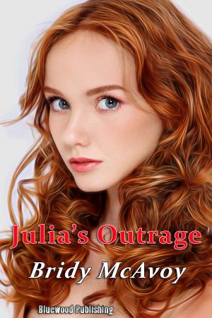 Cover of the book Julia's Outrage by E.R. Haze