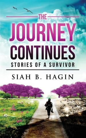bigCover of the book The Journey Continues by 