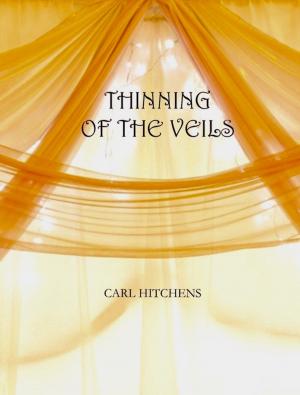 bigCover of the book Thinning of the Veils by 
