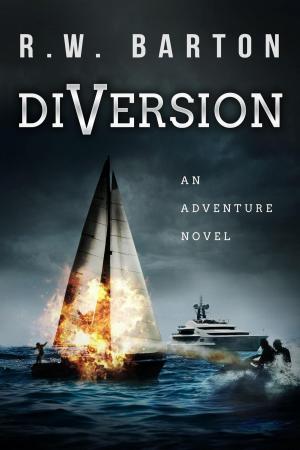 Cover of DiVersion