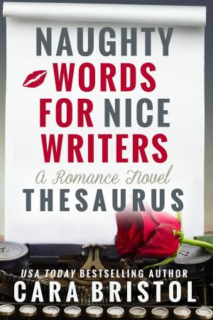Cover of the book Naughty Words for Nice Writers by Carla King
