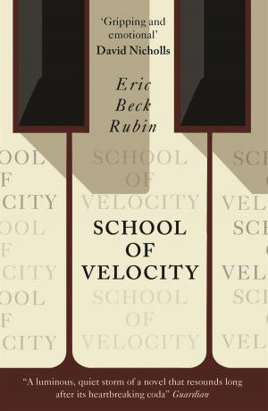 Cover of the book School of Velocity by Robert Musil