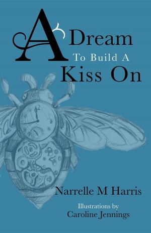 Cover of the book A Dream To Build A Kiss On by Melanie Vance