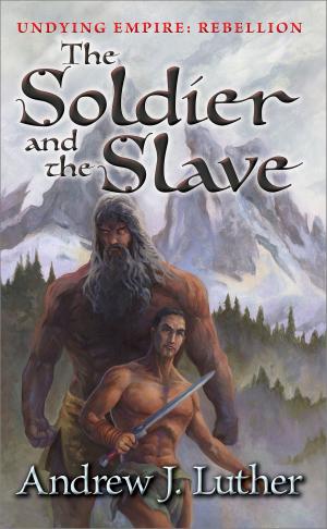 Book cover of The Soldier and the Slave