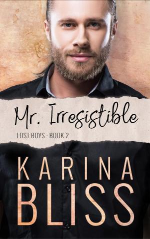 Cover of the book Mr Irresistible by Karina Kantas