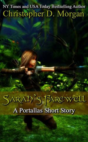 Cover of the book Sarah's Farewell by Chris Stoesen