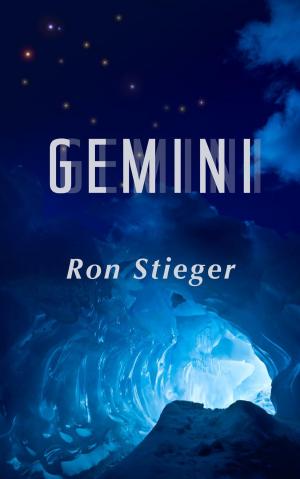 Cover of the book Gemini by Kris Austen Radcliffe