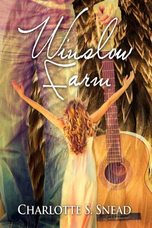 Cover of the book Winslow Farm by Susan Mallery
