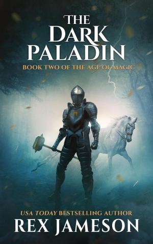 Cover of the book The Dark Paladin by Ana Mardoll