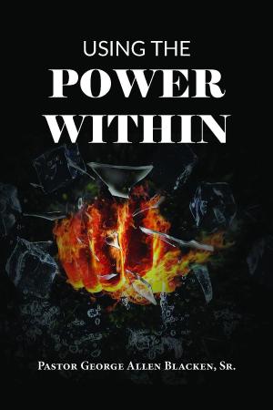 Cover of the book Using the Power Within by Andrew Foster
