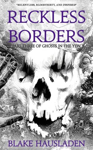 Cover of the book Reckless Borders by Blake Hausladen