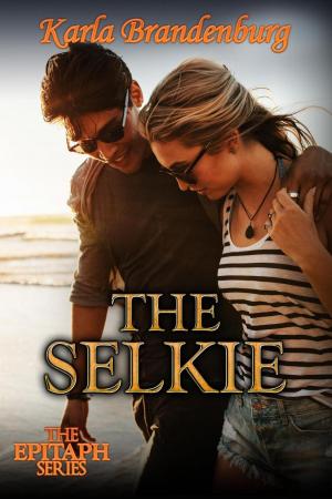 Cover of the book The Selkie by Evelyn Rae