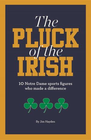 bigCover of the book The Pluck of the Irish by 