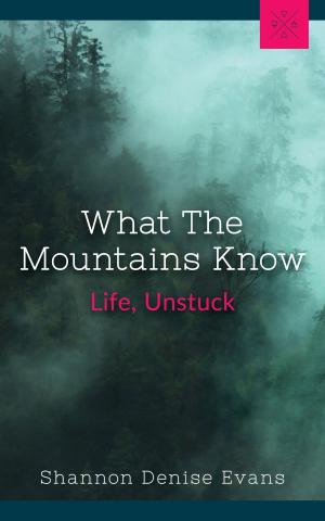 Cover of the book What The Mountains Know by Hélios de Lemme