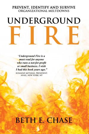 Cover of the book Underground Fire: Prevent, Identify and Survive Organizational Meltdowns by Vamsi Krishna