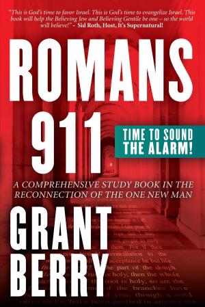 Cover of the book Romans 911 by Glenn Van Ekeren