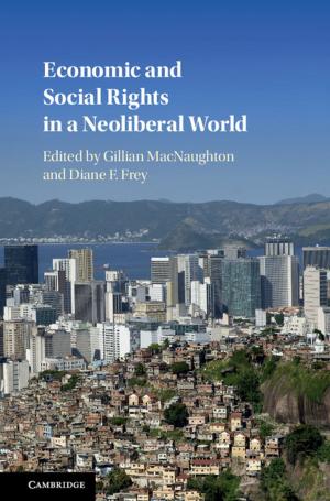 Cover of the book Economic and Social Rights in a Neoliberal World by Audrey Terras