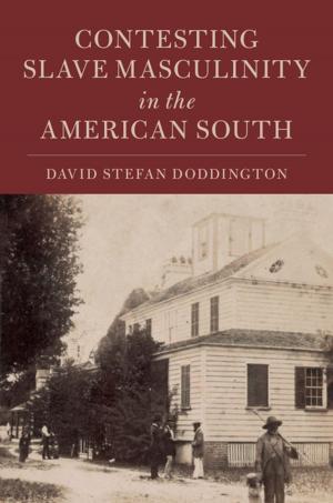Cover of the book Contesting Slave Masculinity in the American South by Stefan Rinke