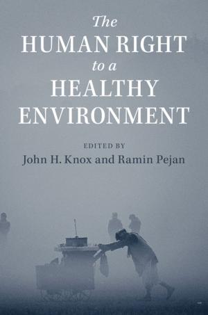 Cover of the book The Human Right to a Healthy Environment by Jennifer Wellington