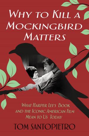 Cover of the book Why To Kill a Mockingbird Matters by Lolita Lark